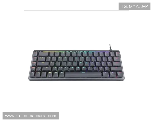 2025年游戏键盘推荐 专为游戏玩家打造的高性能键盘选择指南 2025年游戏键盘推荐 专为游戏玩家打造的高性能键盘选择指南